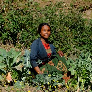 Eine projektbegünstigte Bäuerin aus Nepal kniet im Feld.