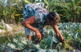 Eine Bäuerin bewirtschaftet ihr agrarökologisches Feld.