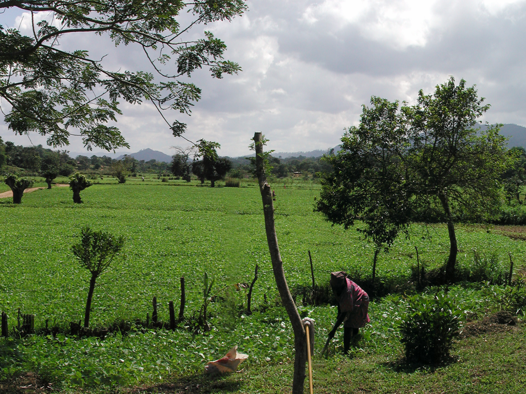 La maggior parte delle attività del progetto può quindi continuare nonostante l'escalation.