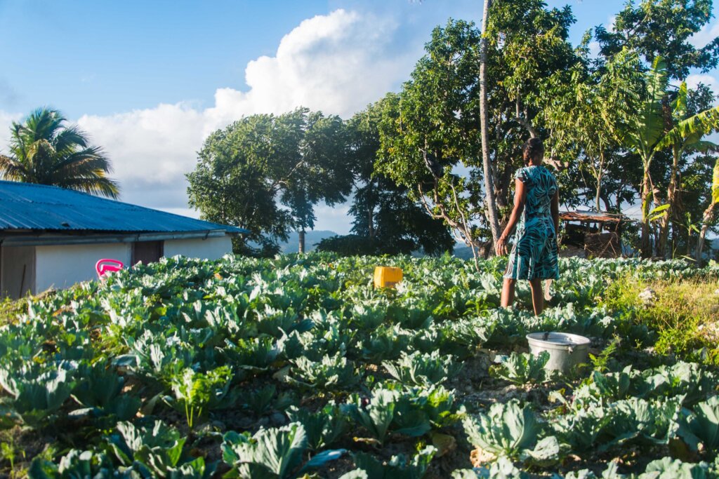 La maggior parte delle nostre organizzazioni partner ad Haiti opera nelle aree rurali.